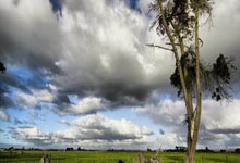 沃夫斯堡对阵拜仁，谁能在德甲赛场占得先机？